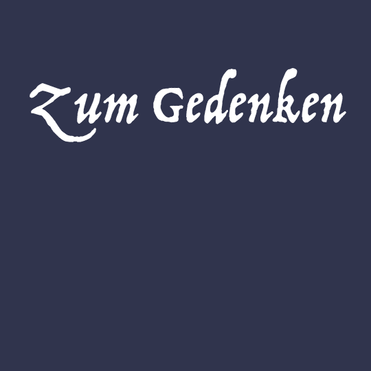 MLK-Gedenk2020-LANG-T03_540